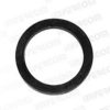 LANCIA 4143964 Gasket, timing case cover